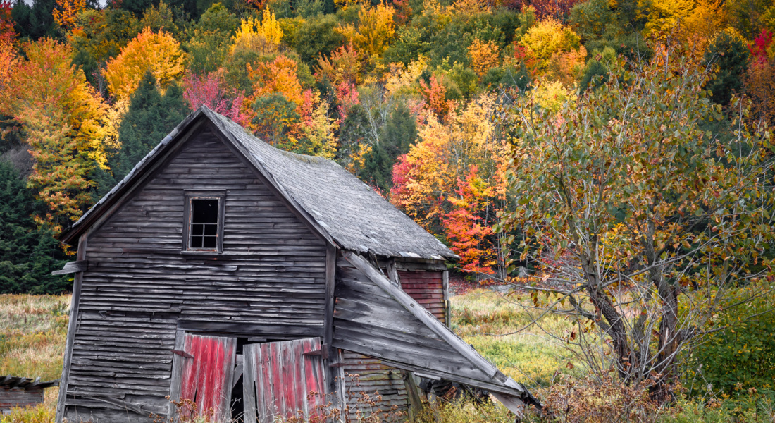 Stowe Vermont Fall Foliage 2024 Tickets Karna Martina